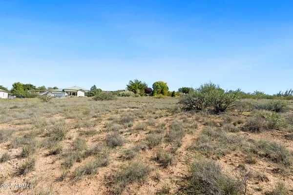 a view of a field