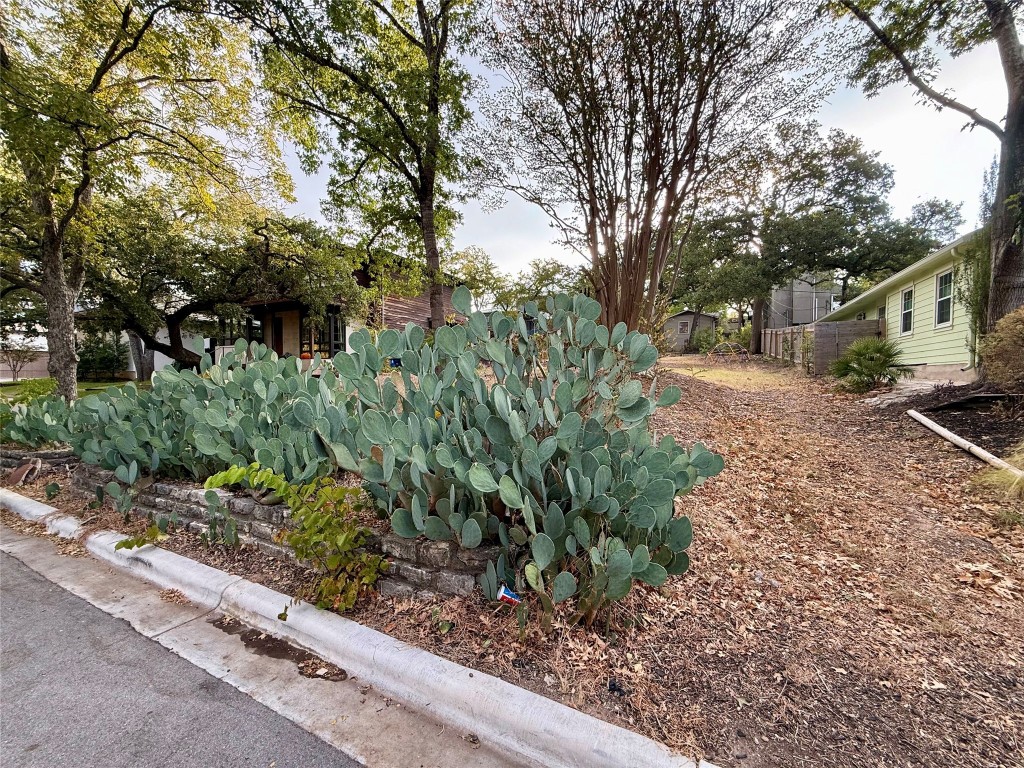 2005 Forest Trail Austin, TX 78703 - Photo 8 of 14 View of yard