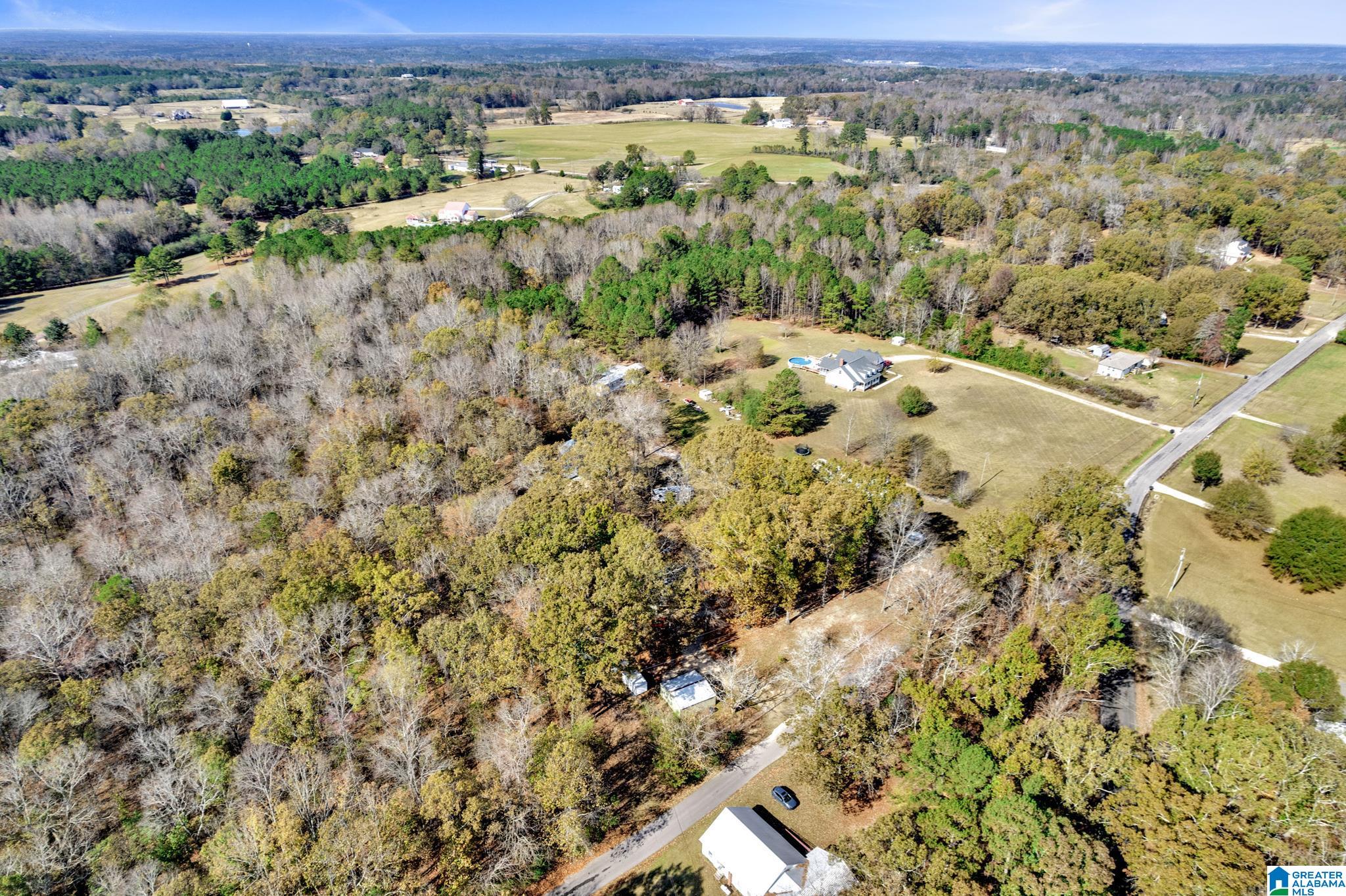9300 Miller Road Warrior, AL 35180 - Photo 30 of 36