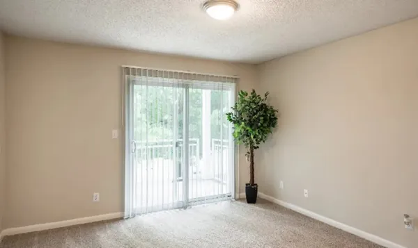 an empty room with windows and tree