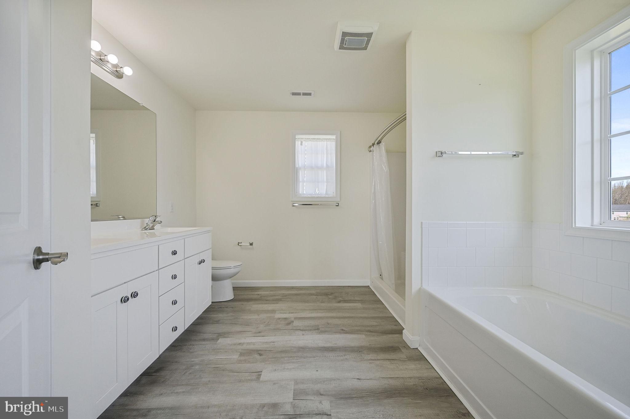 57 Sisal Way Magnolia, DE 19962 - Photo 22 of 30 a bathroom with a double vanity sink a mirror and a bathtub
