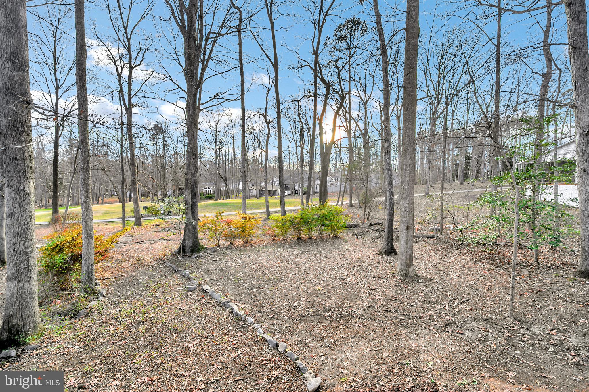 204 Birdie Road Locust Grove, VA 22508 - Photo 4 of 50 View of 10th hole