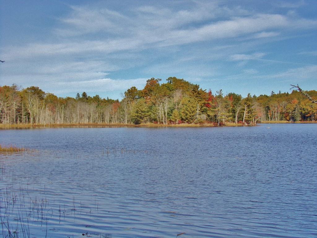 0 Mines Road Blue Hill, ME 04614 - Photo 4 of 9 20180815222617797791000000-o