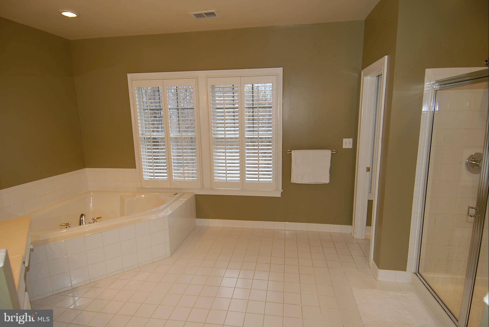 7319 Gordons Road Falls Church, VA 22043 - Photo 16 of 30 large tub and separate shower