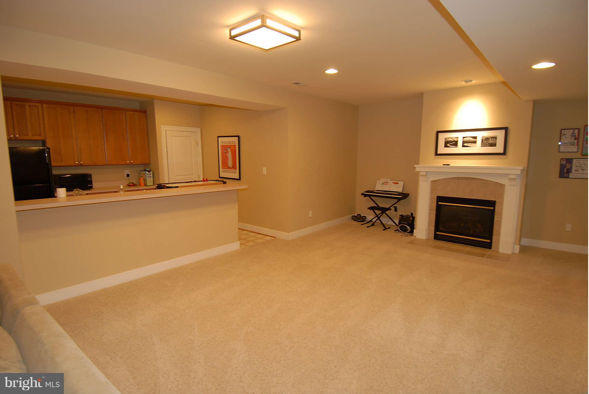 7319 Gordons Road Falls Church, VA 22043 - Photo 22 of 30 LL rec rm with wet bar /kitchenette.