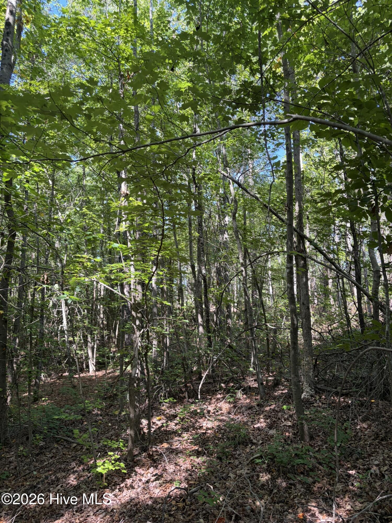 Tbd Green Road Ellerbe, NC 28338 - Photo 7 of 23
