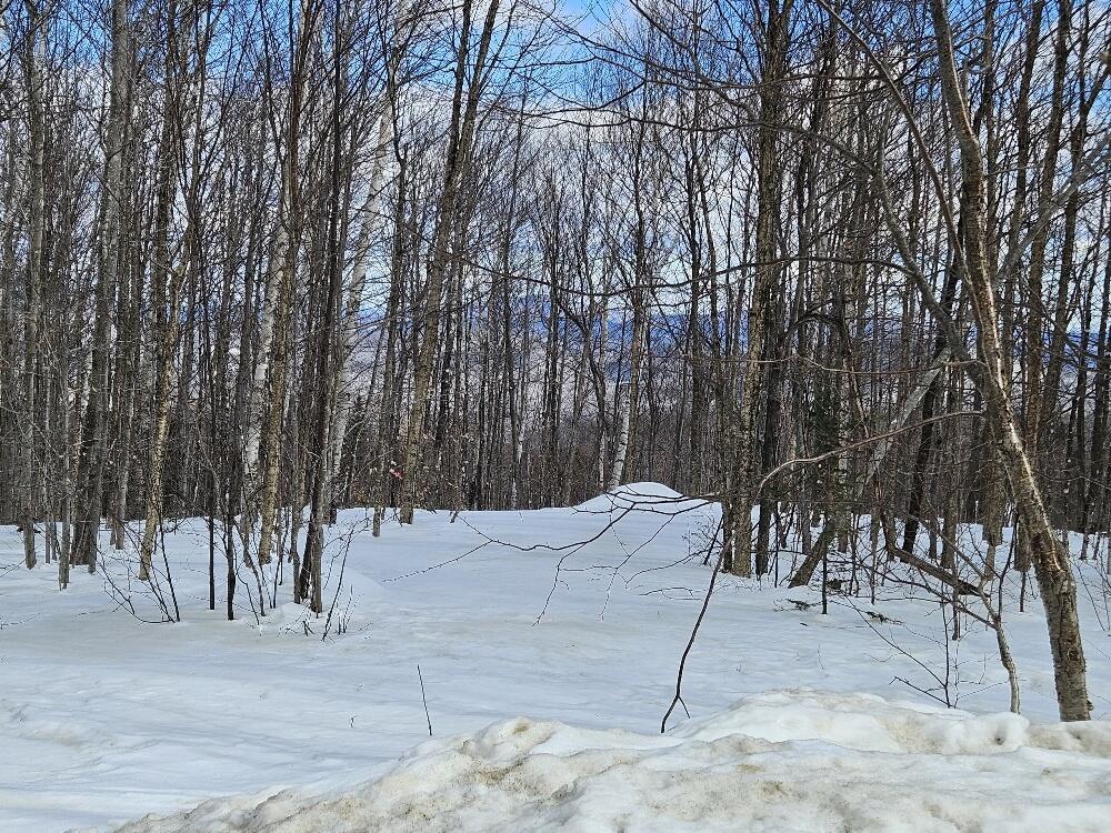 Lot 9 East Moose Alley Road Temple, ME 04984 - Photo 23 of 46
