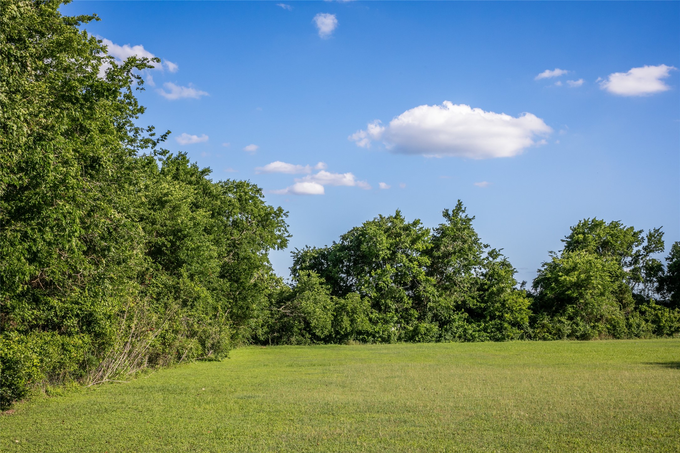 8660 Cedar Hill Road Brenham, TX 77833 - Photo 40 of 45