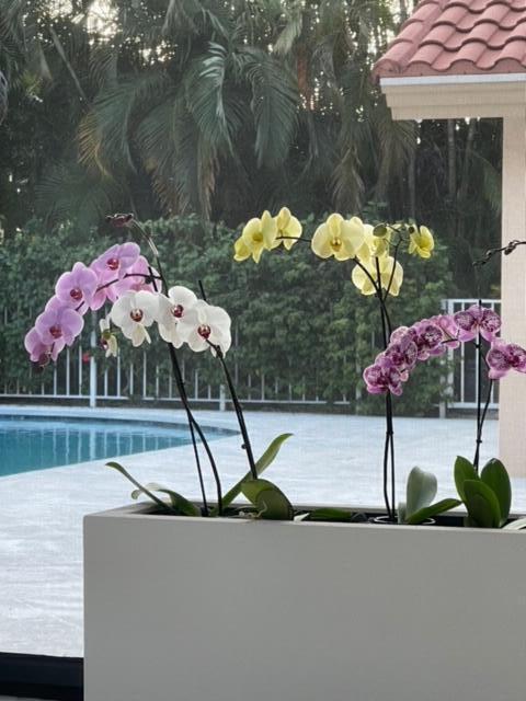4335 Bocaire Boulevard Boca Raton, FL 33487 - Photo 26 of 55 Back patio