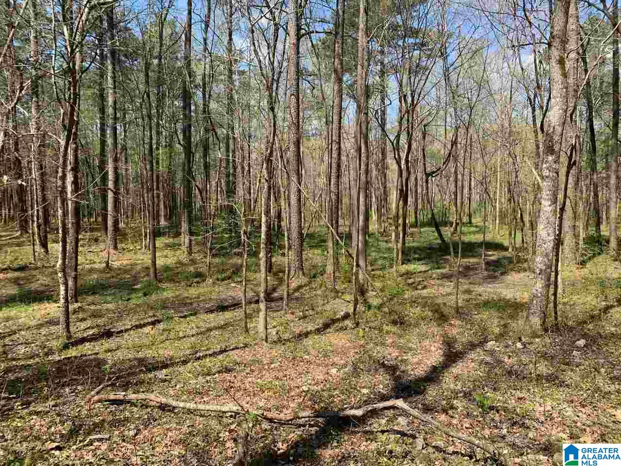 5925 Cahaba Valley Road, Unit 1 Birmingham, AL 35242 - Photo 10 of 21