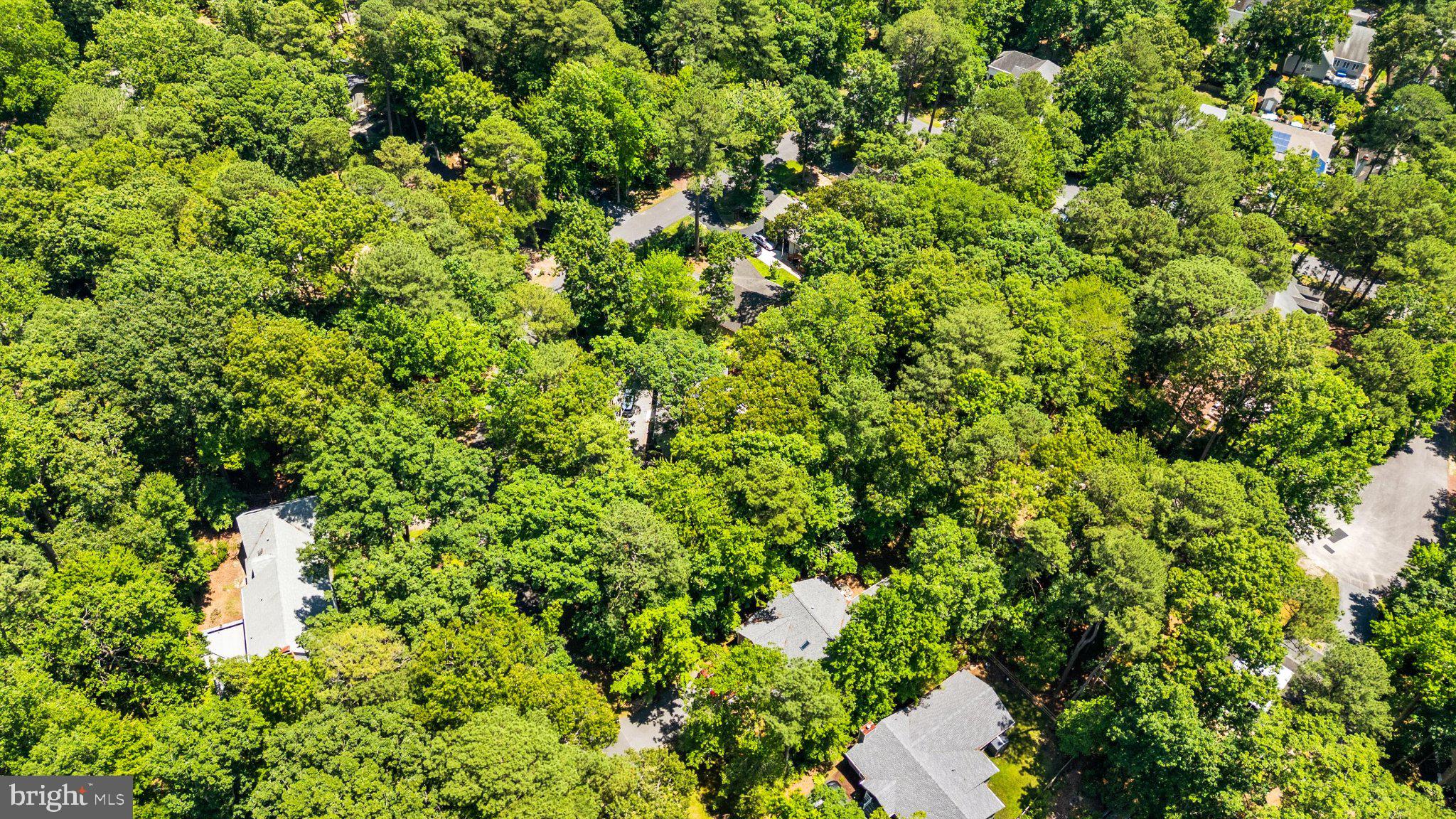 12 Moonraker Road Ocean Pines, MD 21811 - Photo 6 of 17 Lush greenery envelops serene homes.