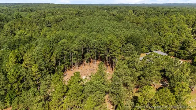 a view of a forest with a street