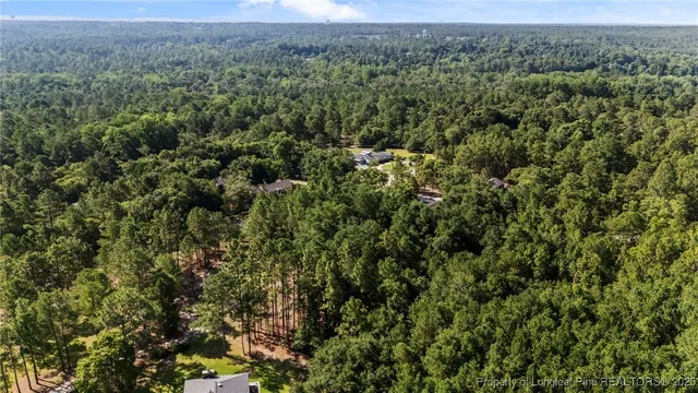 an aerial view of forest
