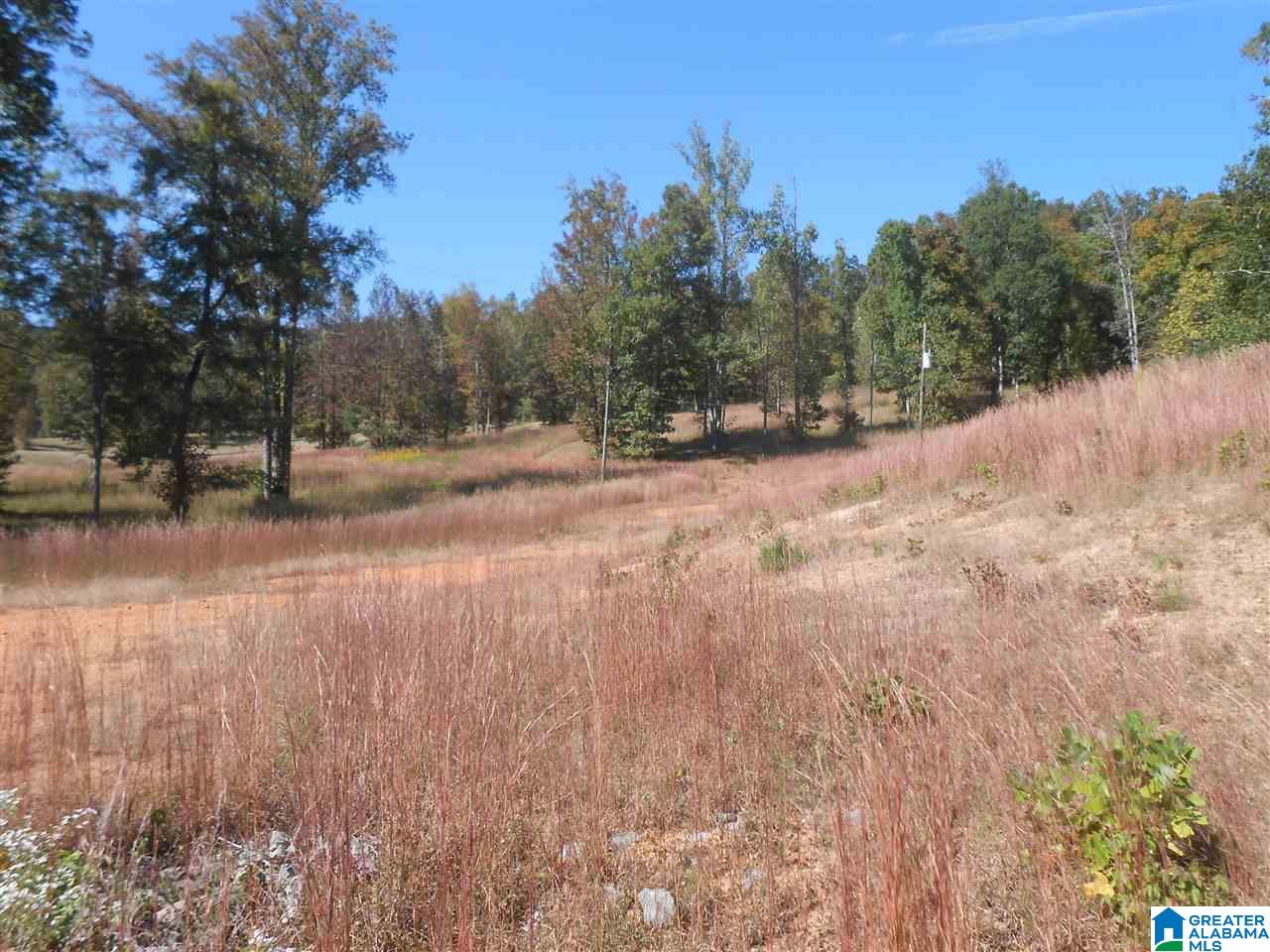 11 Highway Steele Al Steele, AL 35987 - Photo 8 of 8