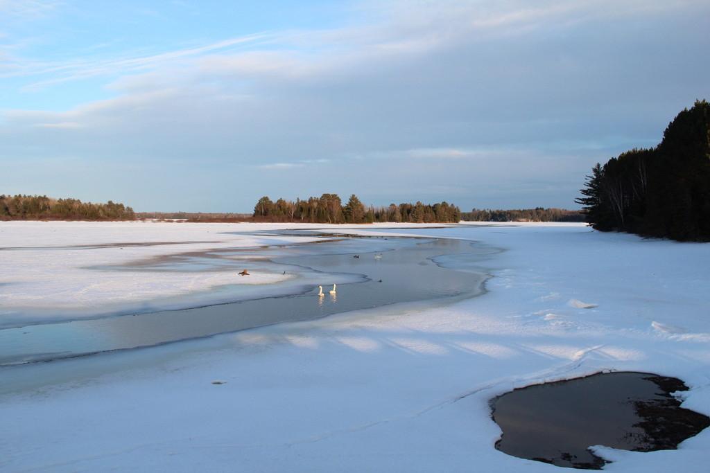 Lot 403 Camp Nokomis Road Mercer, WI 54547 - Photo 13 of 13 Gallery Image 13