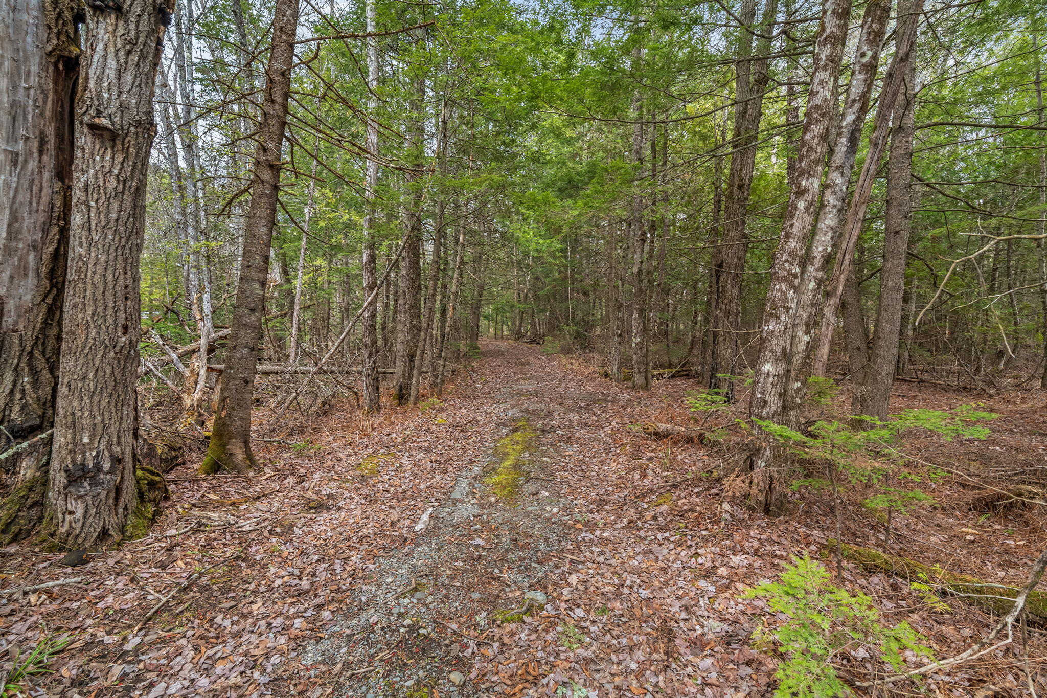 Mallard Rd Mallard Road Madison, ME 04950 - Photo 11 of 30 10-web-or-mls-mallard-rd
