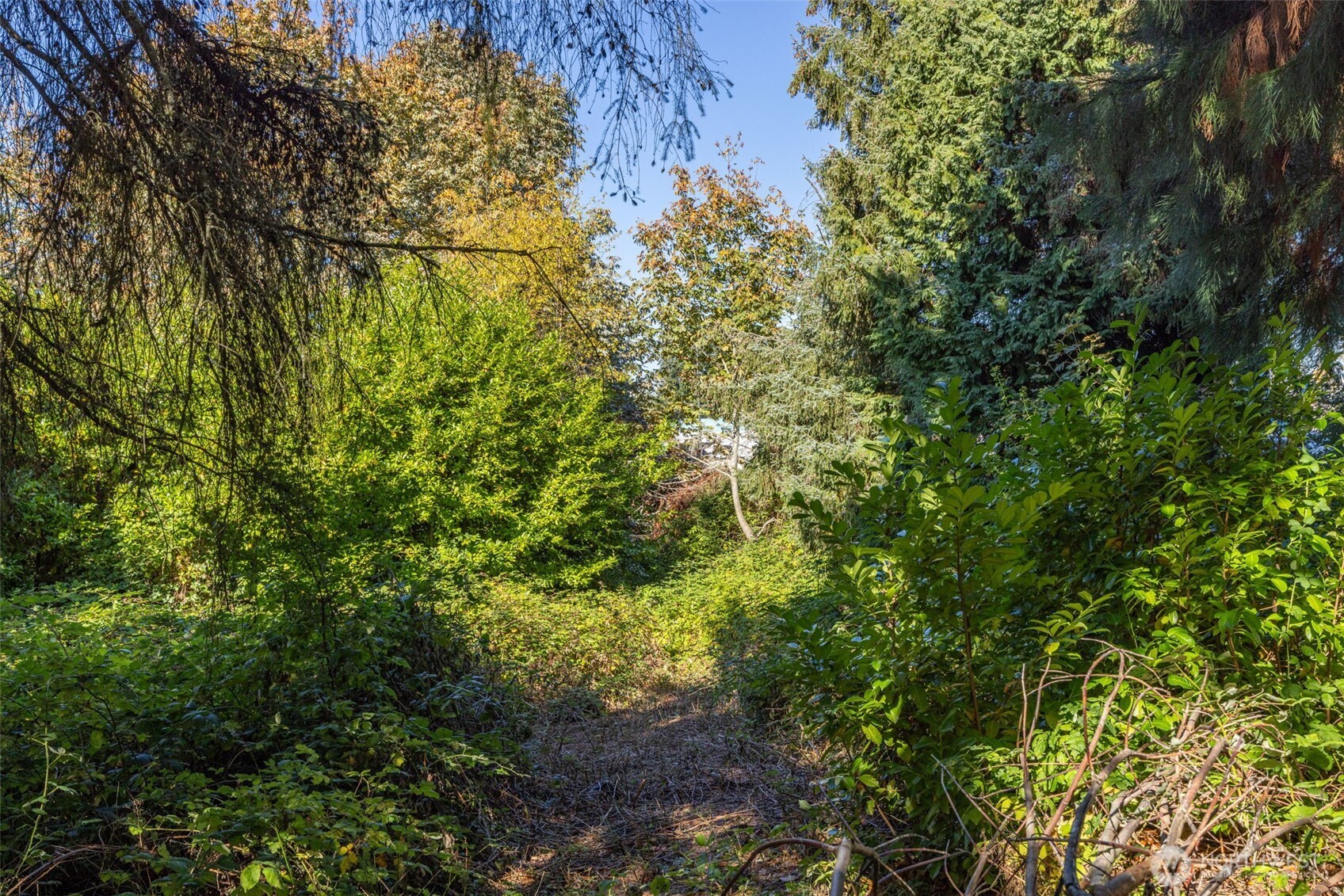 12900 Beverly Park Road Mukilteo, WA 98275 - Photo 11 of 19