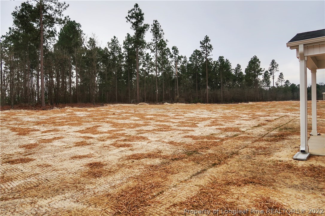 903 Montrose Road Raeford, NC 28376 - Photo 17 of 17