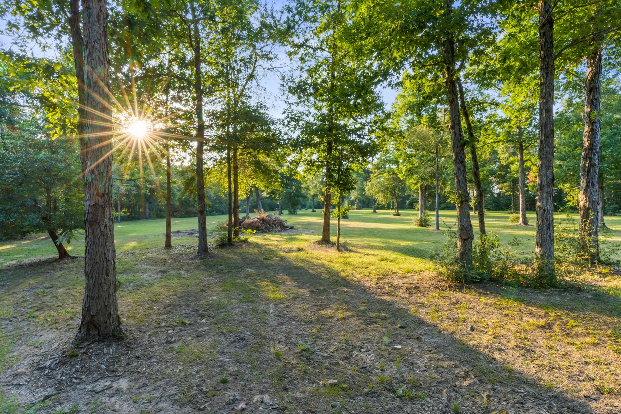 6970 Longmire Road Conroe, TX 77304 - Photo 4 of 48 a view of a park