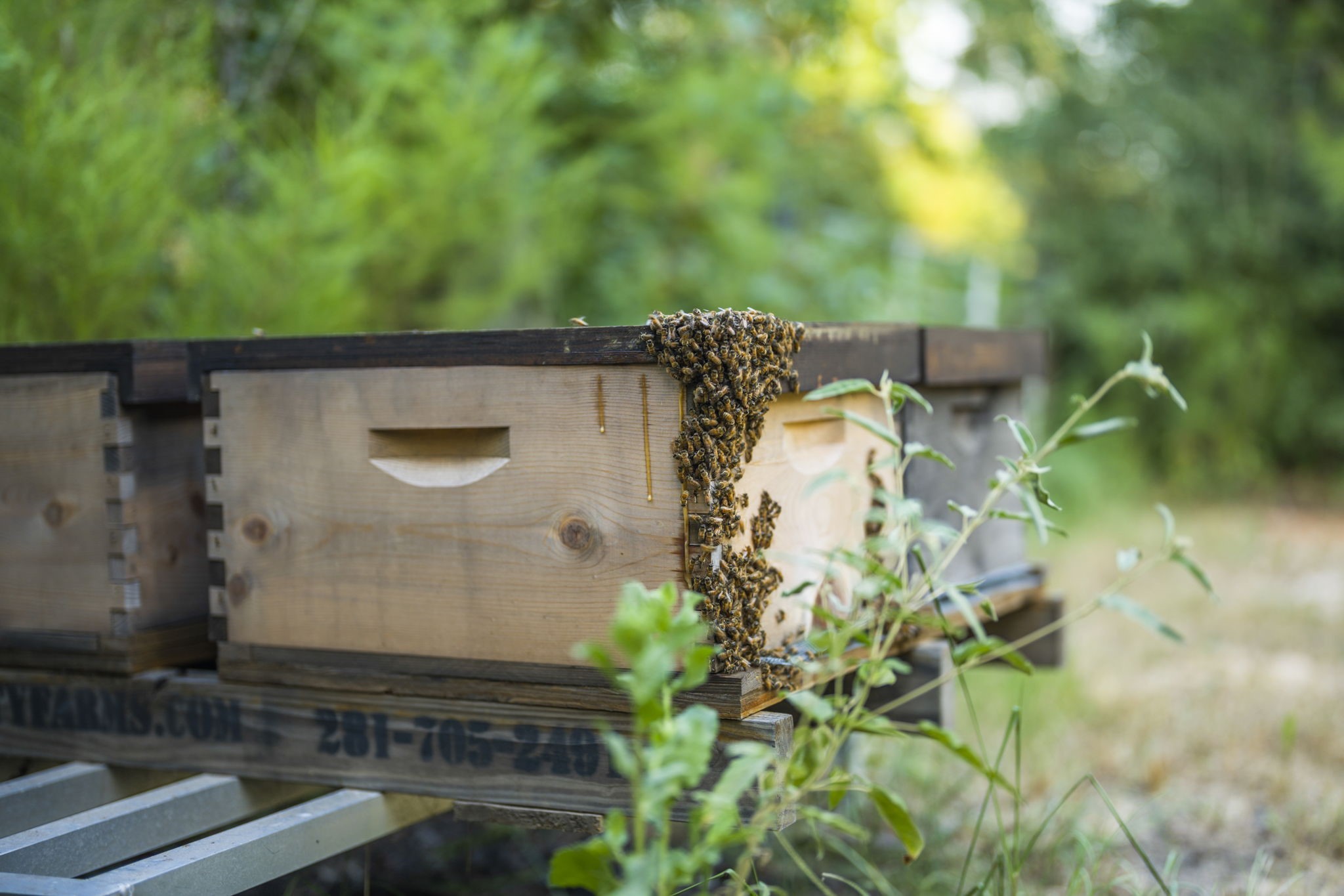 6970 Longmire Road Conroe, TX 77304 - Photo 42 of 48 a backyard of a house
