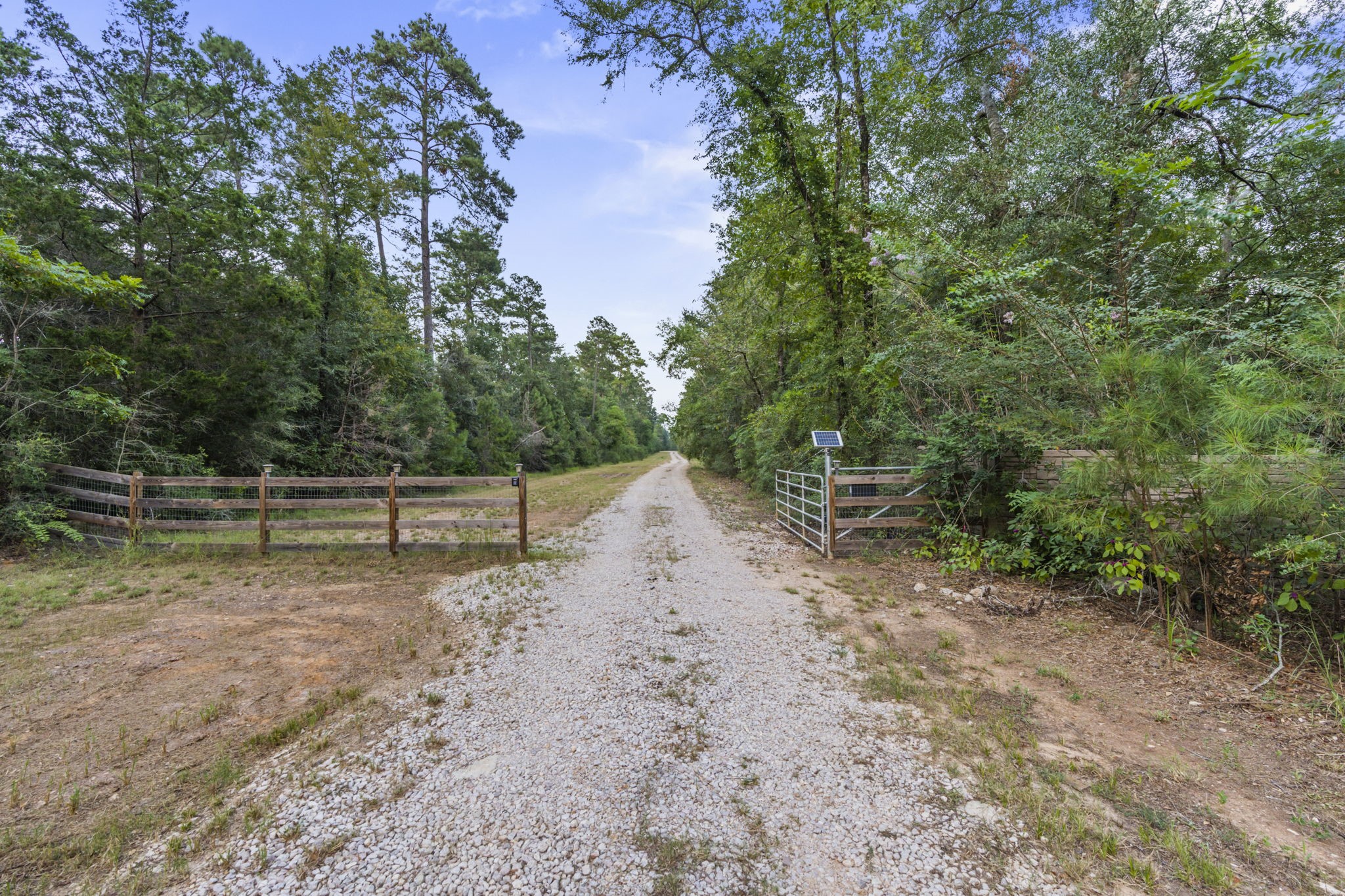 6970 Longmire Road Conroe, TX 77304 - Photo 46 of 48 a view of backyard with green space