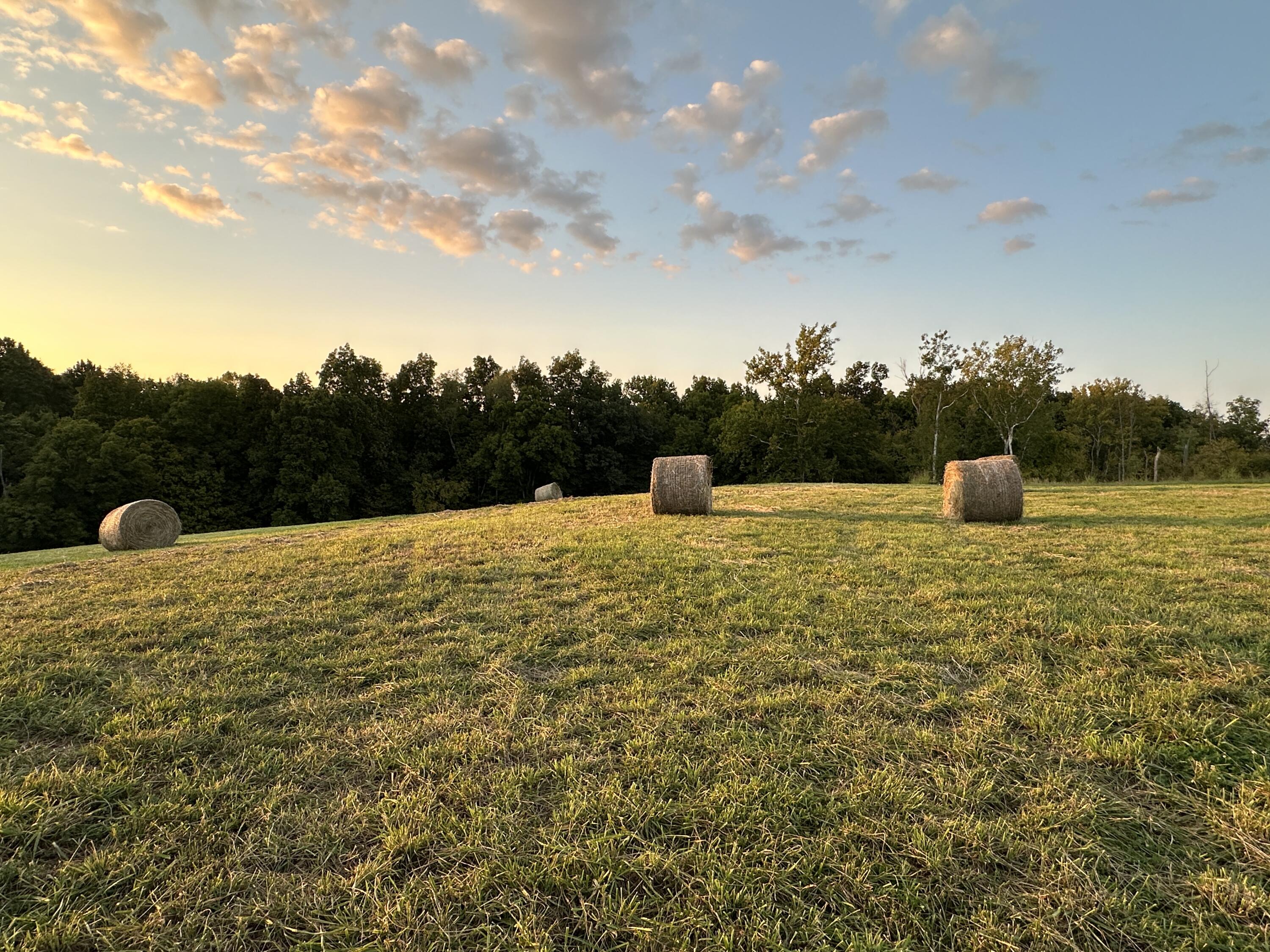 719 Upper Lick Road Moorefield, KY 40350 - Photo 14 of 29 Field
