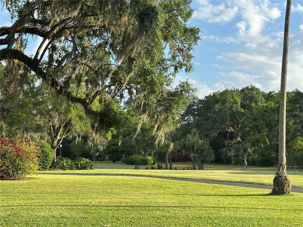 708 East Main Street Wauchula, FL 33873 - Photo 38 of 82