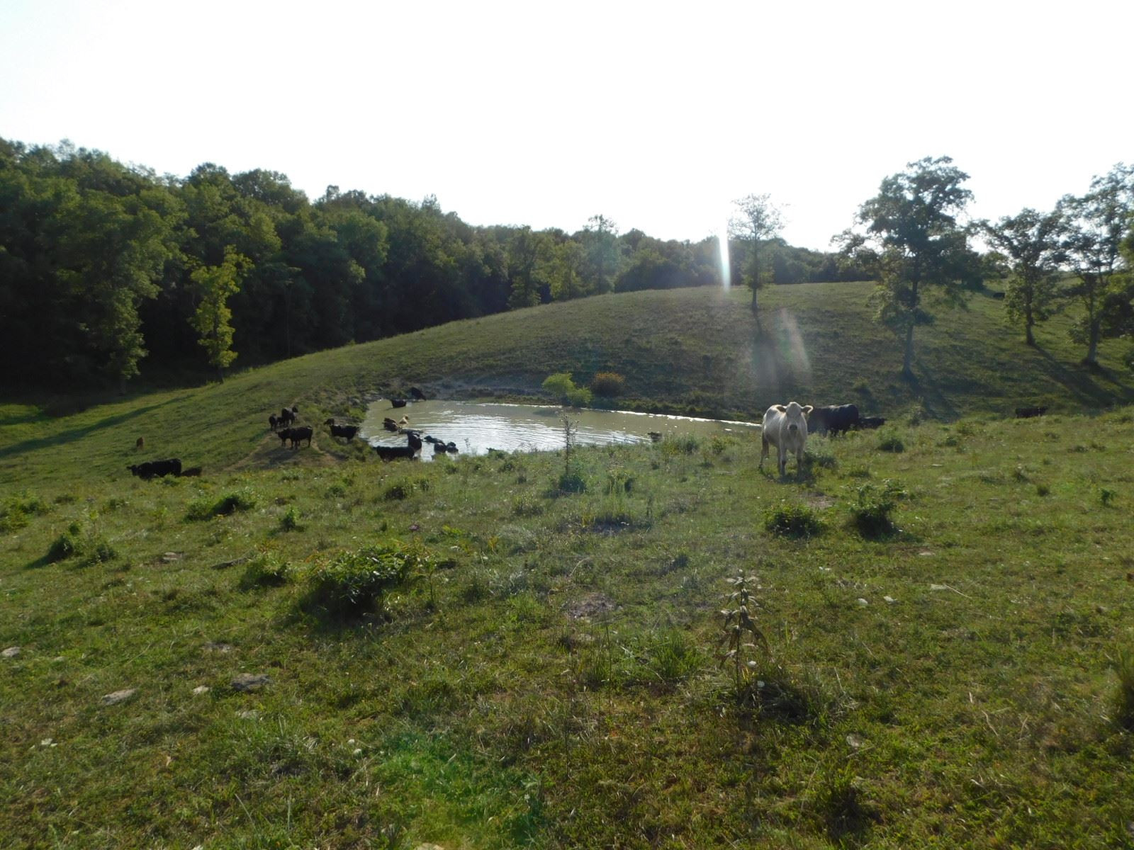 New Columbus Road Corinth, KY 41010 - Photo 10 of 14