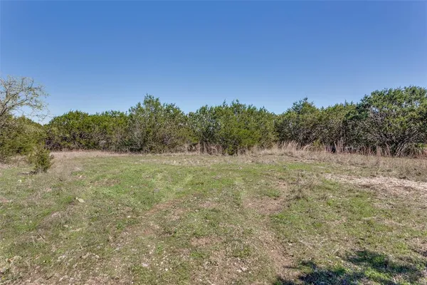 a view of a field of grass and trees