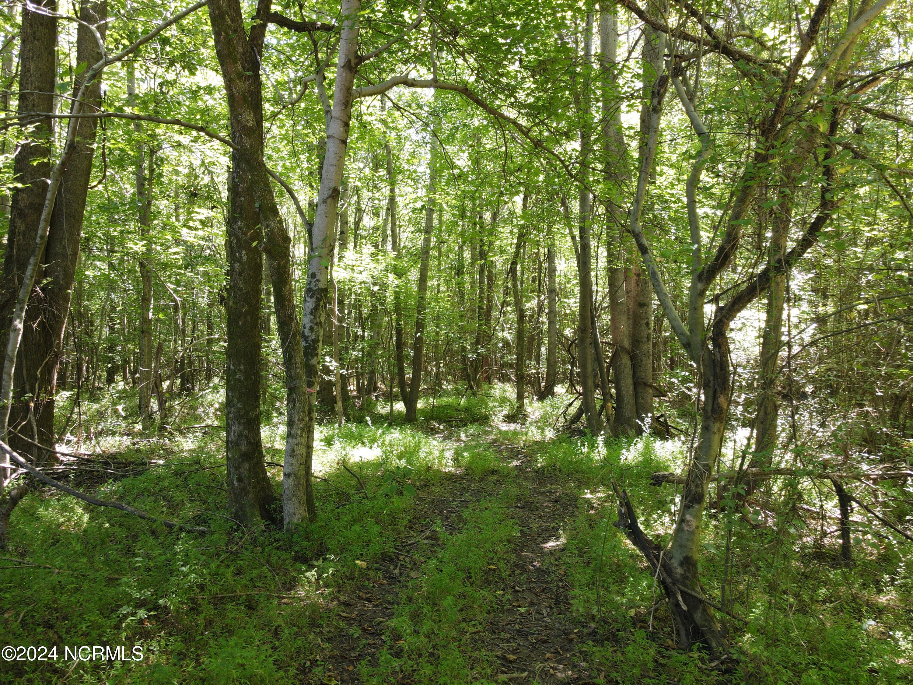 0 Red Oak Road Nashville, NC 27856 - Photo 11 of 25 RR MLS 12