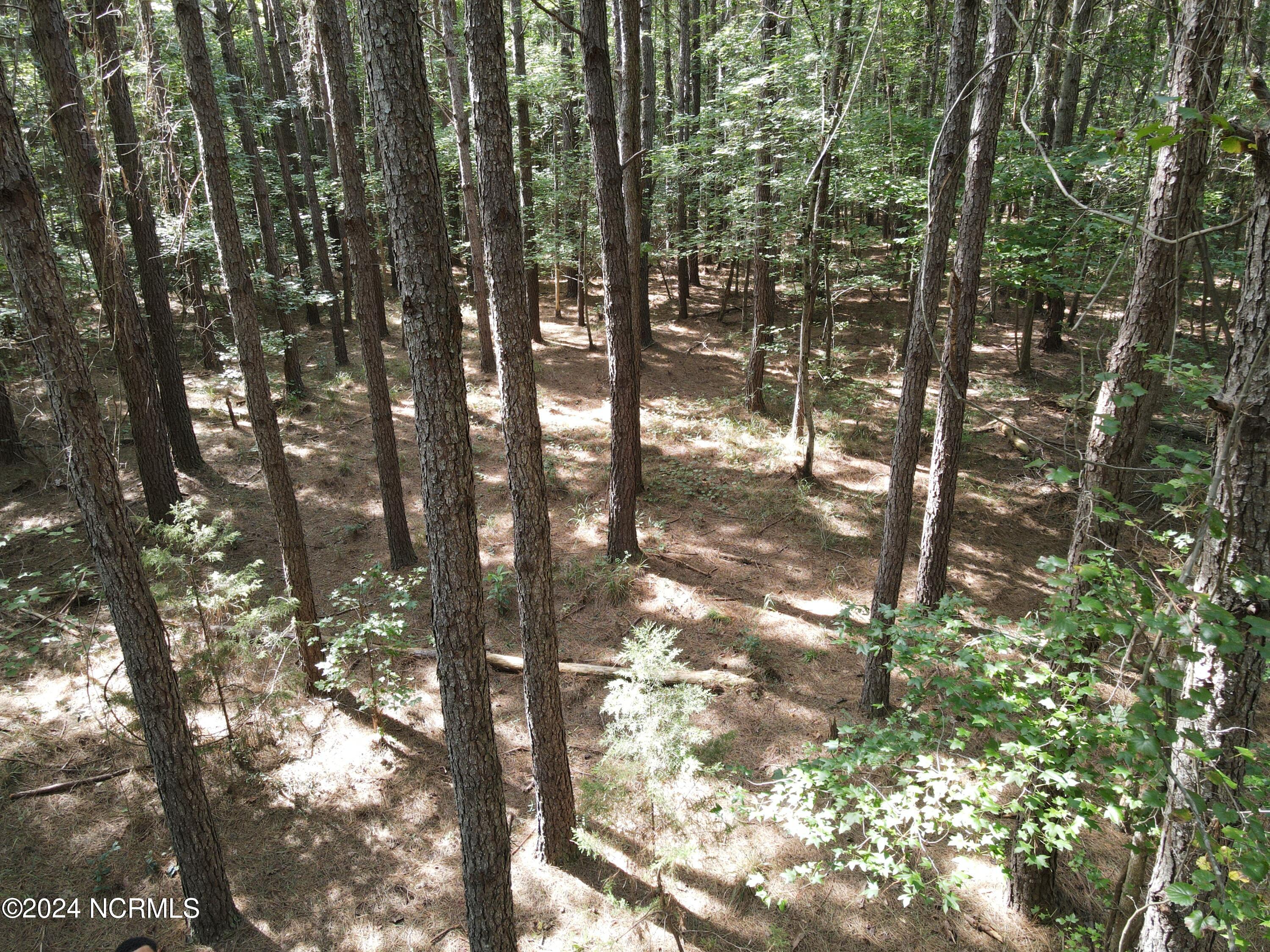 0 Red Oak Road Nashville, NC 27856 - Photo 12 of 25 RR MLS 13