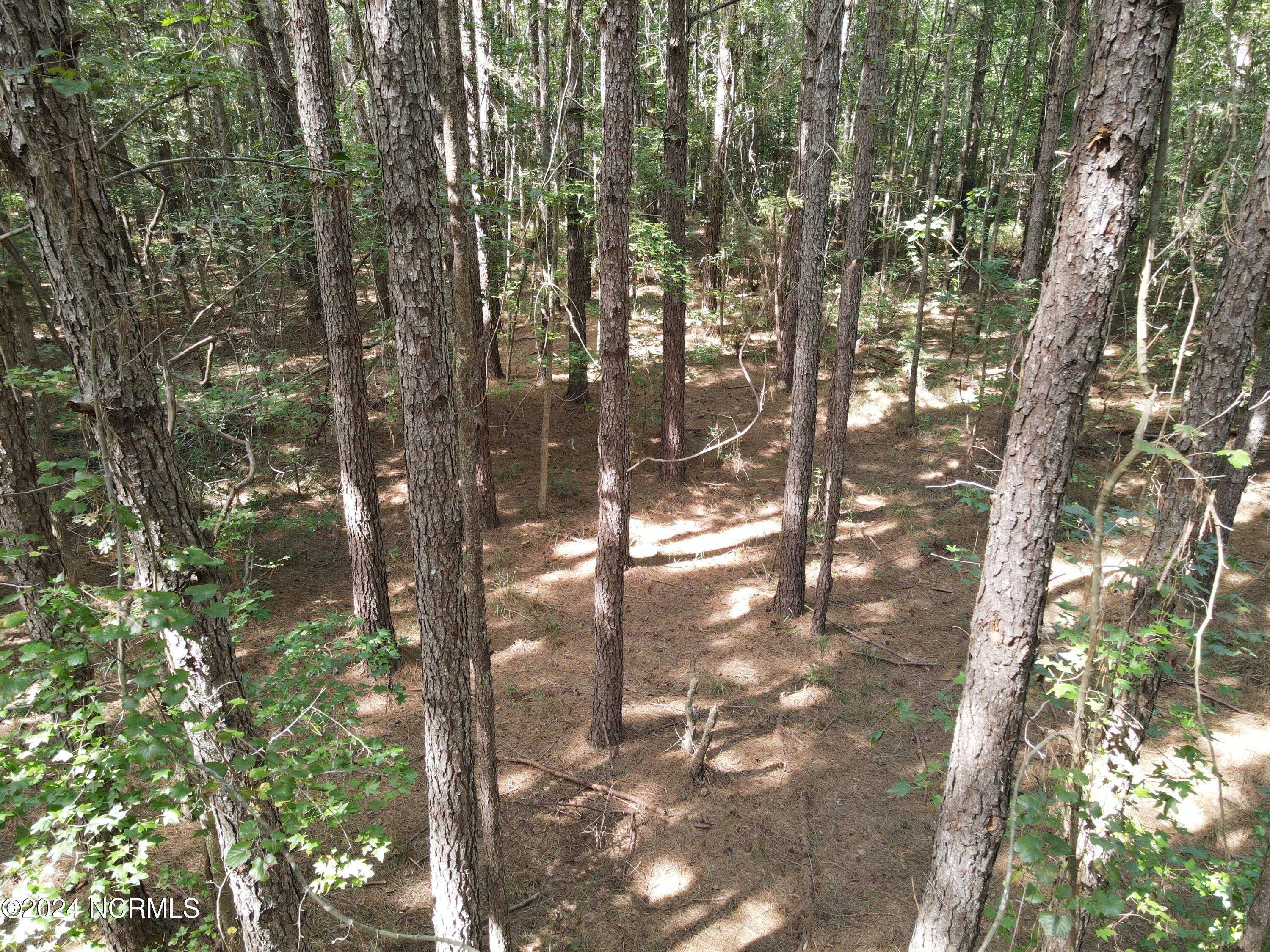 0 Red Oak Road Nashville, NC 27856 - Photo 13 of 25 RR MLS 14