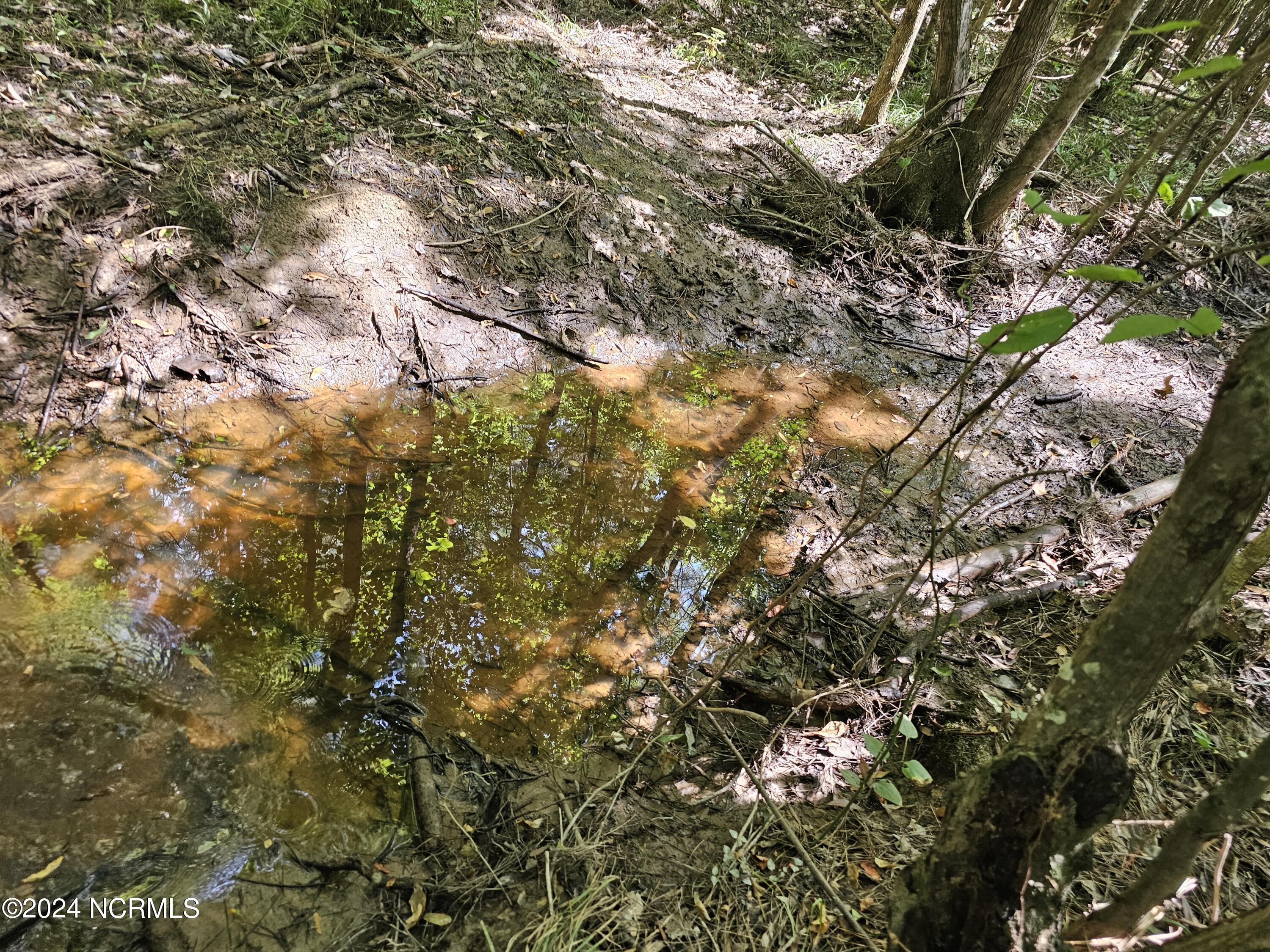 0 Red Oak Road Nashville, NC 27856 - Photo 15 of 25 RR MLS 16