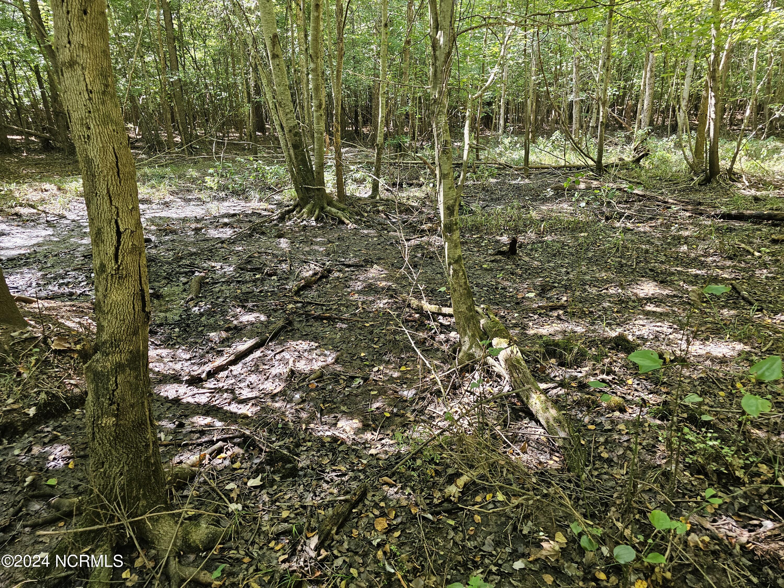 0 Red Oak Road Nashville, NC 27856 - Photo 16 of 25 RR MLS 17