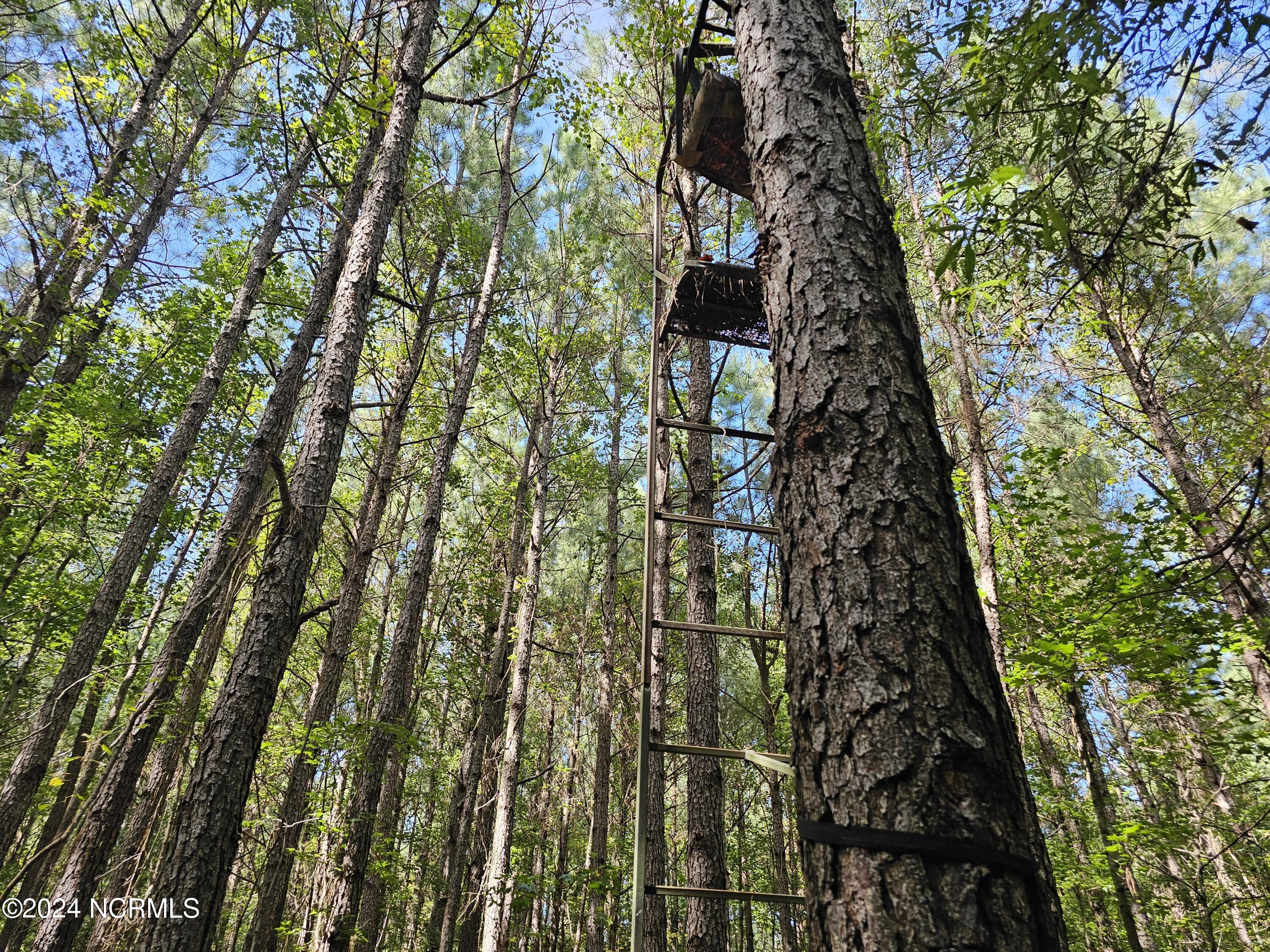 0 Red Oak Road Nashville, NC 27856 - Photo 18 of 25 RR MLS 19
