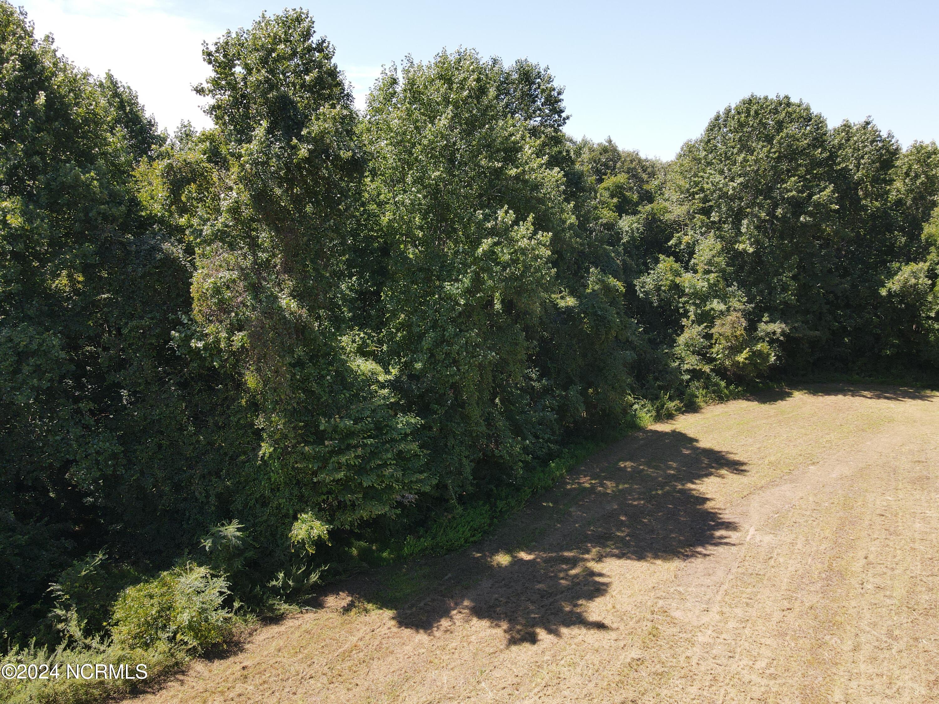 0 Red Oak Road Nashville, NC 27856 - Photo 7 of 25 RR MLS 7