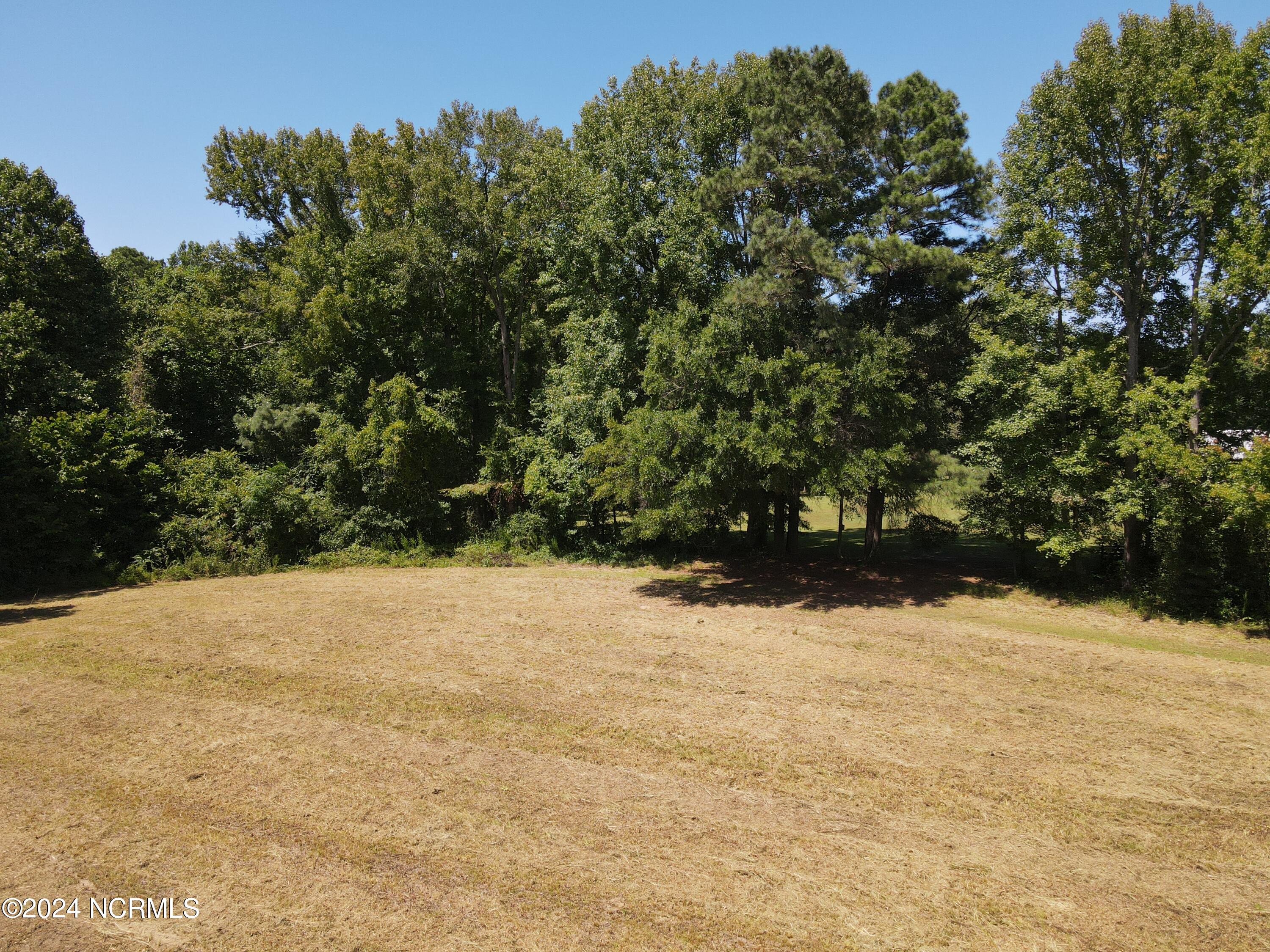 0 Red Oak Road Nashville, NC 27856 - Photo 9 of 25 RR MLS 9