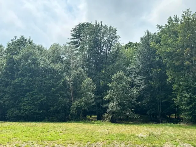 $330,000 | 2.33 Acres Nh 03466 Drive, Unit 12A001021, West Chesterfield, NH 03466