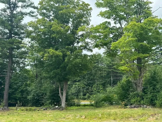 $330,000 | 2.33 Acres Nh 03466 Drive, Unit 12A001021, West Chesterfield, NH 03466