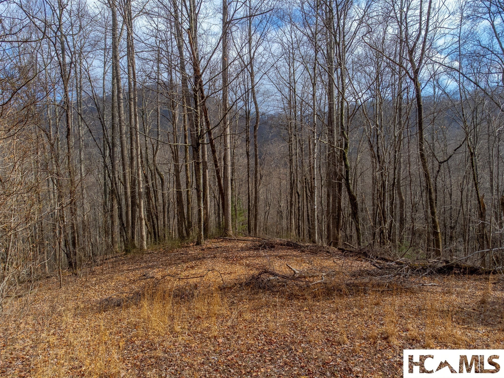 1241 Henry Road Franklin, NC 28734 - Photo 11 of 67 Gallery Image 11