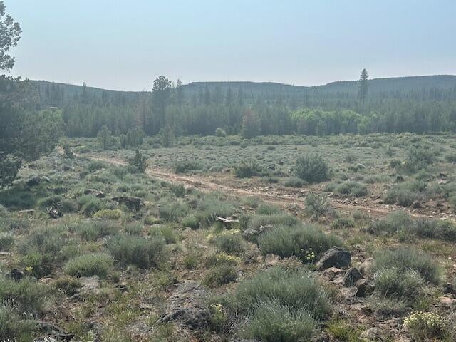 Nagel Ridge Way Chiloquin, OR 97624 - Photo 2 of 4 IMG_8419