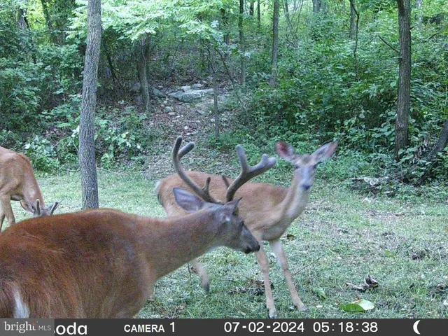 $85,000 | 11430 National Pike, Clear Spring, MD 21722