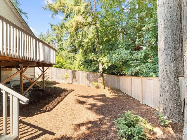 a view of a backyard with a tree