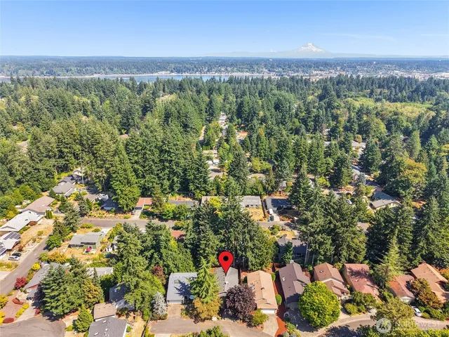 an aerial view of residential houses with outdoor space and trees