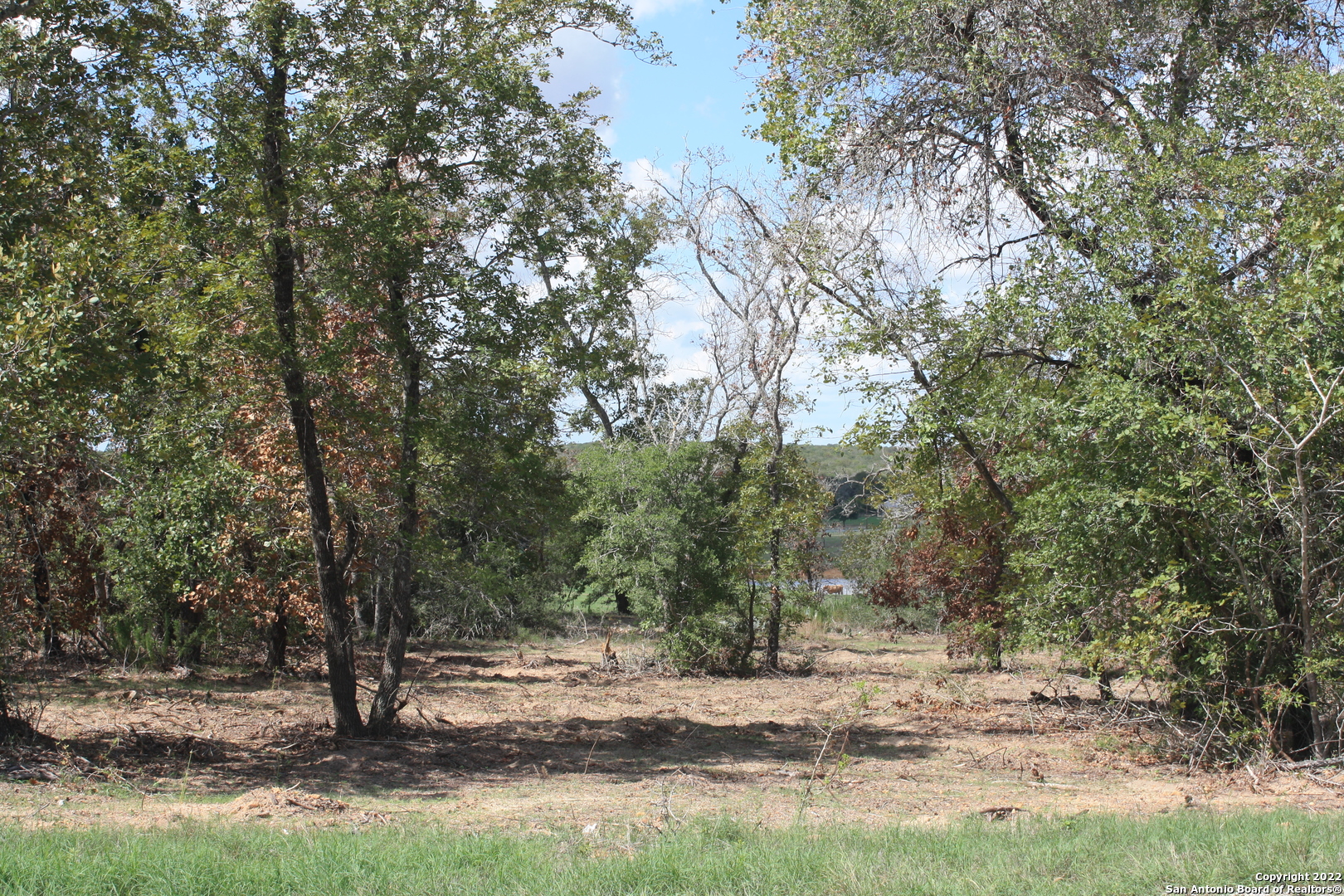 a view of dirt yard with a large tree