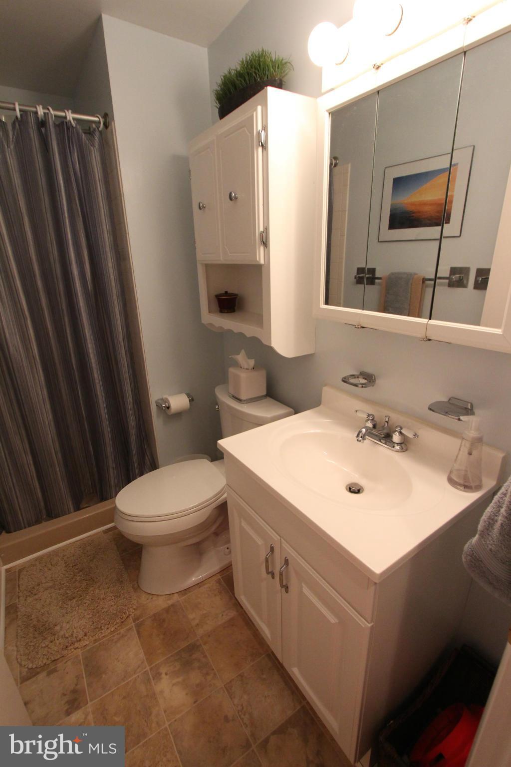 1004 South Culpeper Road Sterling, VA 20164 - Photo 18 of 30 Bath (Master)