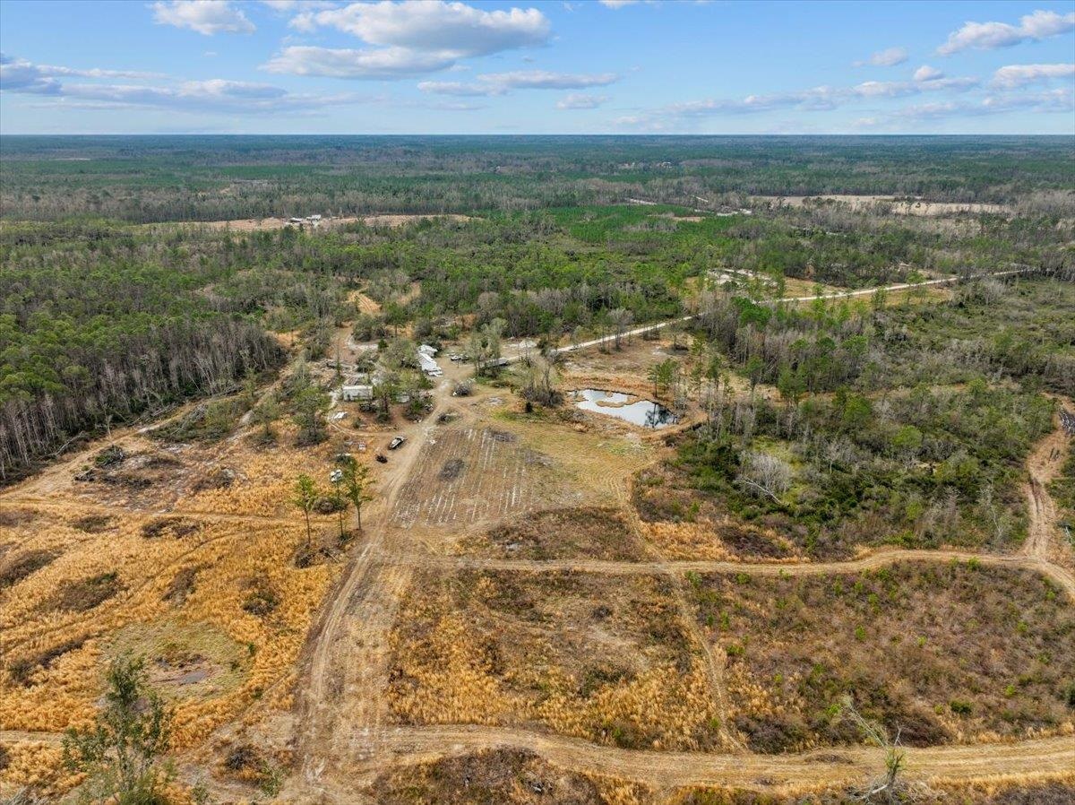 3220 Albert Hendry Road Greenville, FL 32331 - Photo 7 of 22
