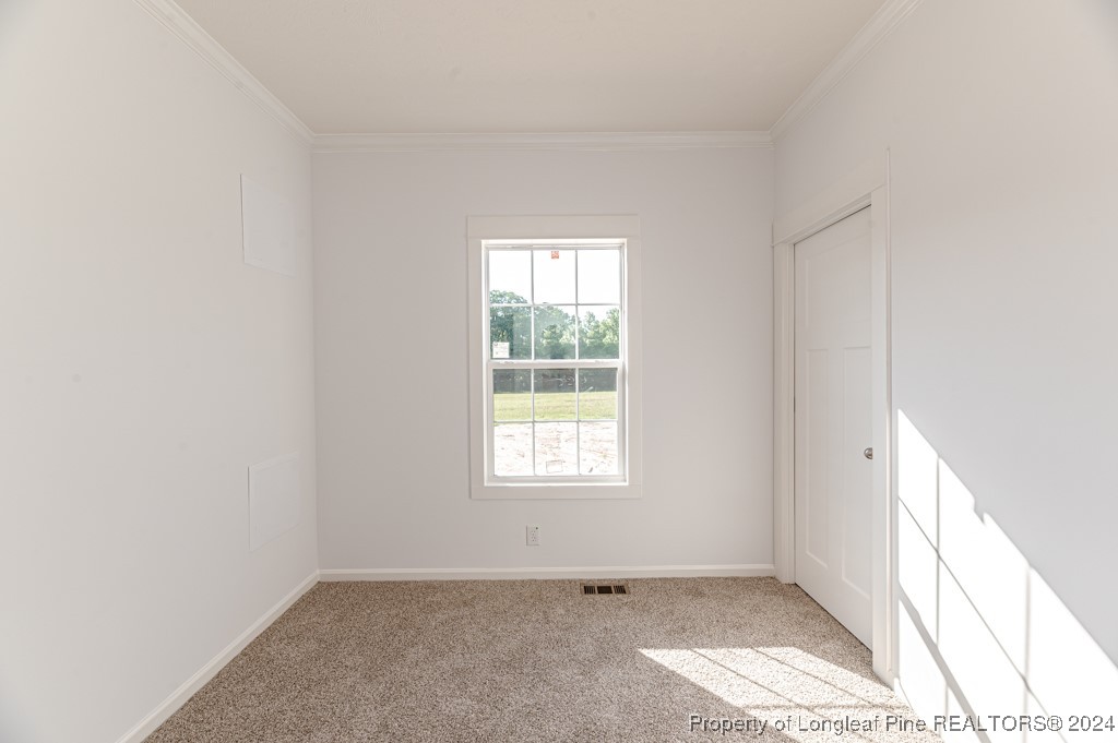 1623 Tim Currin Road Lillington, NC 27546 - Photo 20 of 41 Gallery Image 20
