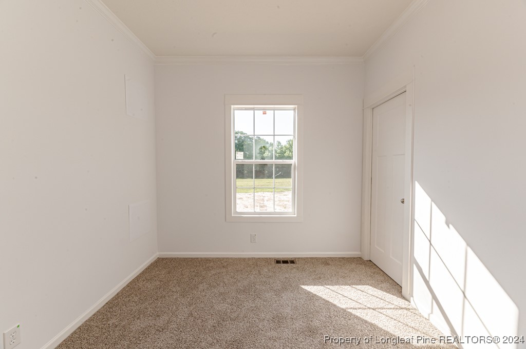 1623 Tim Currin Road Lillington, NC 27546 - Photo 21 of 41 Gallery Image 21