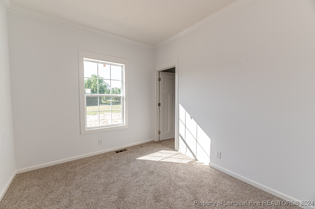 1623 Tim Currin Road Lillington, NC 27546 - Photo 22 of 41 Gallery Image 22